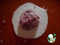 ������ ���� �����������