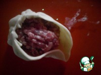 ������ ���� �����������