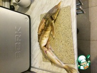 �������� ���������� �����������