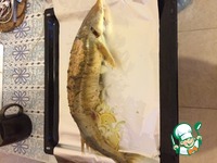 �������� ���������� �����������