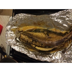 �������� ����������