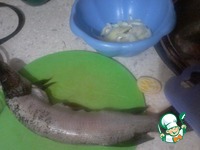 ���� � ������� � ������� �����������