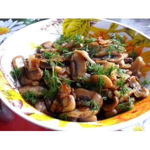 ������� ����� � �����