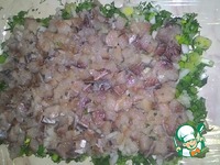 ����� � ������� �����������