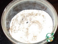 ������������� �������� �����������