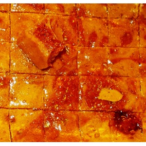 ������������� ��������