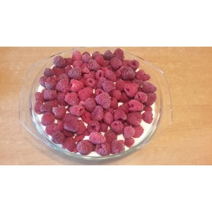 ������ "��� �������"