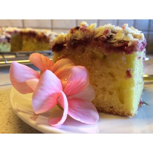 ����� � ������