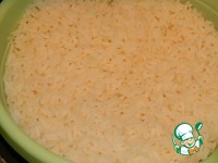 �����-������� ��������� �����������