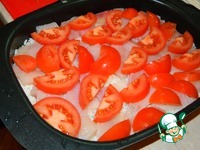 �����-������� ��������� �����������