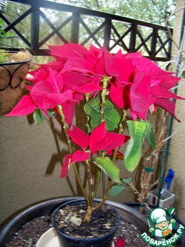 ����� �� ��� ������� � �� ������