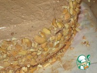 ���� "�������" �����������