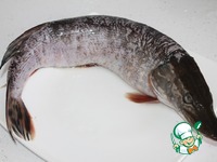 ����, ������������� ����� � ������� �����������