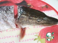 ����, ������������� ����� � ������� �����������