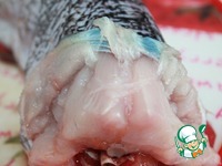 ����, ������������� ����� � ������� �����������