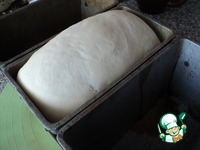 ������ ���� � ������ �����������