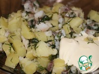 �����-������� � �������� �����������