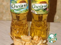 �����-������� � �������� �����������