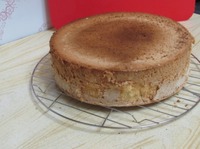 �������� "��������" �����������