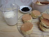 �������� "��������" �����������