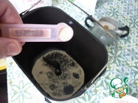 ���� ������ �������� �����������