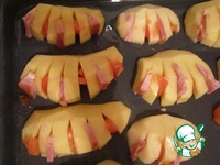 ������������ ������� �����������