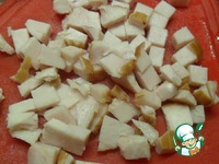 ����-������� � ������� � �������� �����������