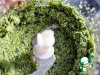 ����� � ����� � ������������ �������� �����������