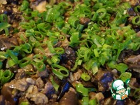 �����, ���������� ������ � ������� ������� �����������