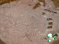 ����� � ���������� ����� �����������