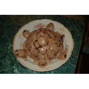 ���� "��������"