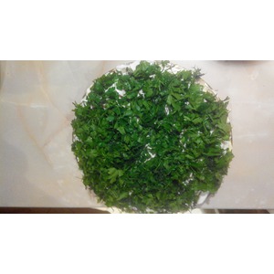 �������� ���� "�������� ���"