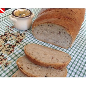 ������� ����