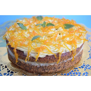 �����������-������� ����