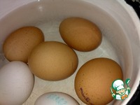 ����� � �����-������ �������� �����������