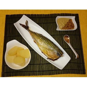 �������� ����������