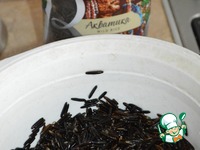 ������� ����� ��� �� ������ ����� �����������