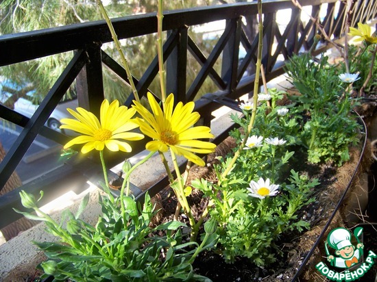 ����� �� ��� ������� � �� ������