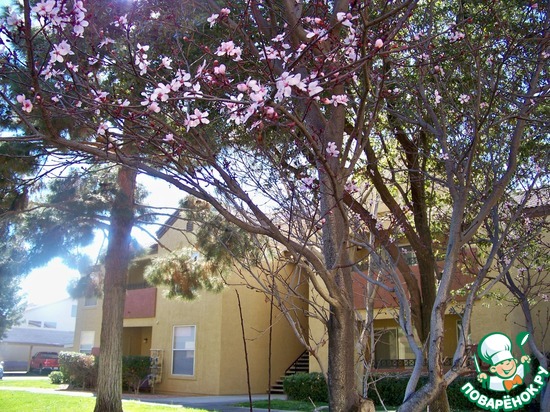 ����� �� ��� ������� � �� ������