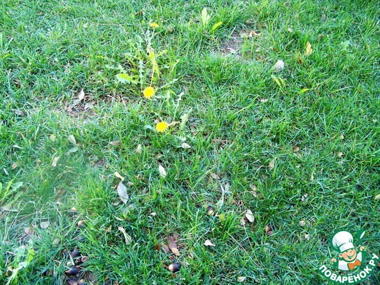 ����� �� ��� ������� � �� ������