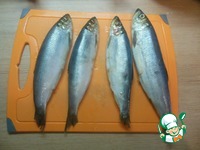 ������ ������ � �������� �����������