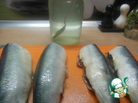 ������ ������ � �������� �����������