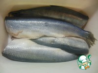 ������ ������ � �������� �����������