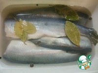 ������ ������ � �������� �����������