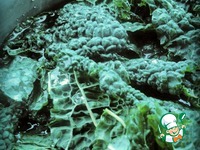 ��������� � ������ �������� � ����� �����������