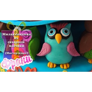 ���� �� �������� �������