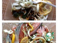 ������� �� ����� �����������