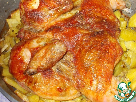 ������ ��������