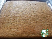 ���������-���������� ���� � �������� �����������