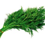 ��������� ������